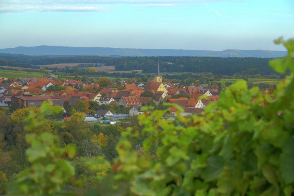 Flair-Hotel Zum Benediktiner Schwarzach am Main Kültér fotó