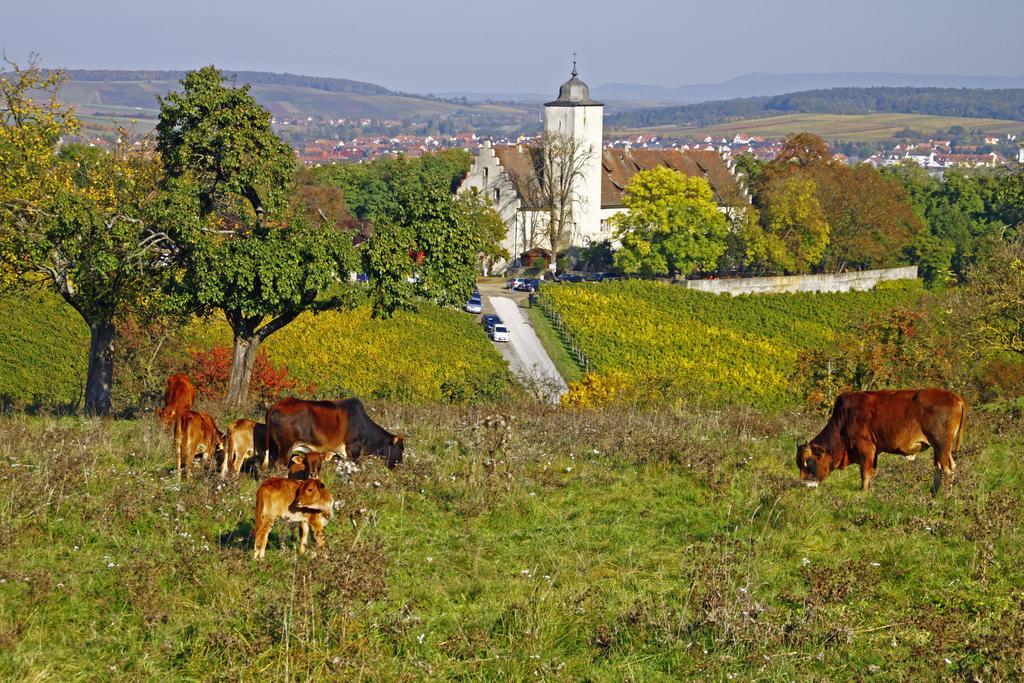 Flair-Hotel Zum Benediktiner Schwarzach am Main Kültér fotó